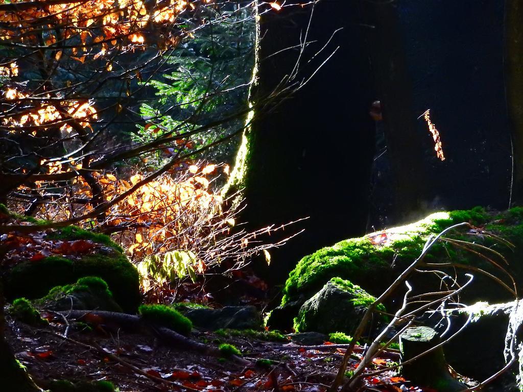 Gasthof Meindl Arrach Esterno foto